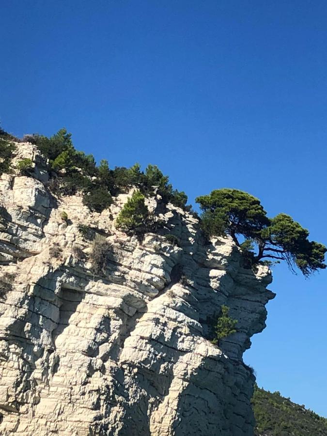 Fiore Bed And Breakfast Peschici Esterno foto